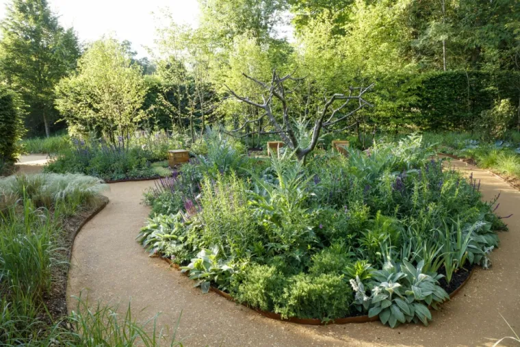 Entretien de Jardin à Arras, Arras, Blanquart Paysage