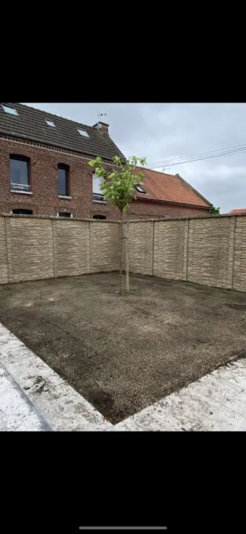 Plantation d'un arbre dans un jardin d'une maison à Mérignies